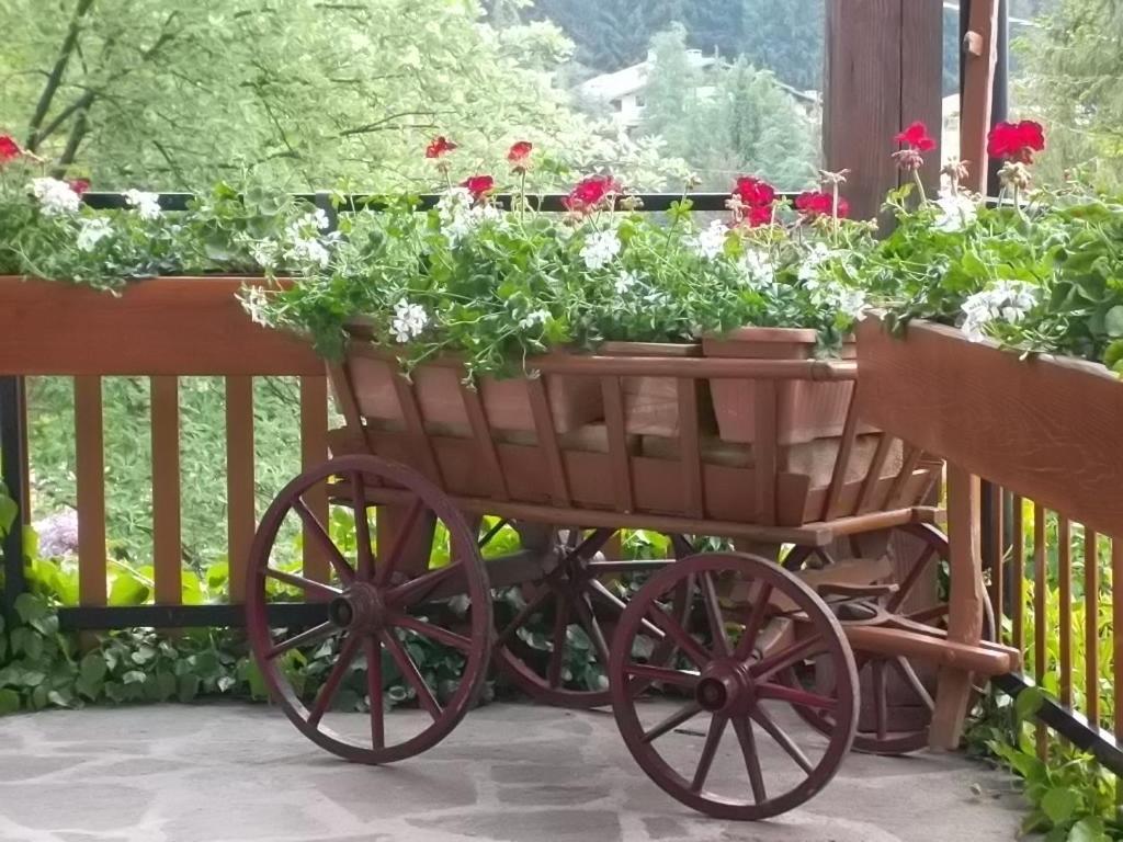 Hotel Residence La Rosa Castione della Presolana Ngoại thất bức ảnh